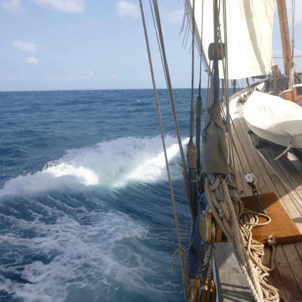 Grayhound's voyages range from sailing the Cornish waters to the Caribbean. 