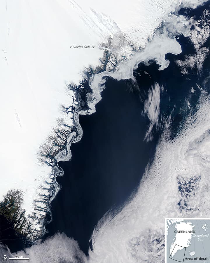 Sea Ice down the East Greenland Coast by NASA Earth Observatory