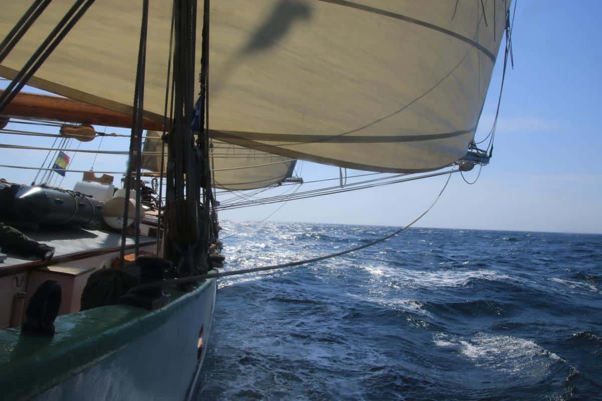ocean sailing on Tecla