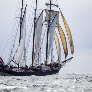 Join a Darwin200 Voyage on Oosterschelde with Classic Sailing