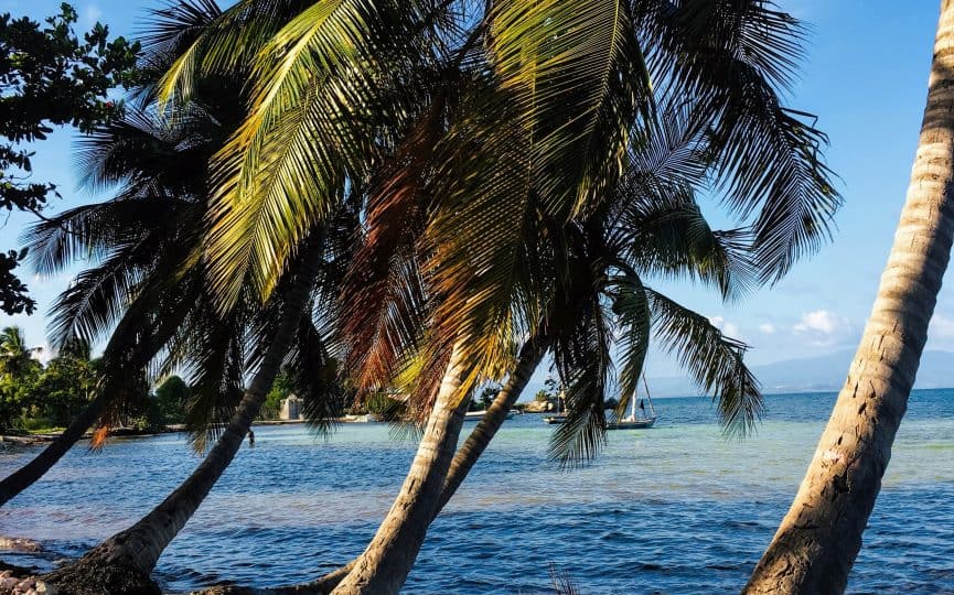 Tropical beaches and palm trees - The Caribbean on a Tall Ship Sailing Morgenster with Classic Sailing