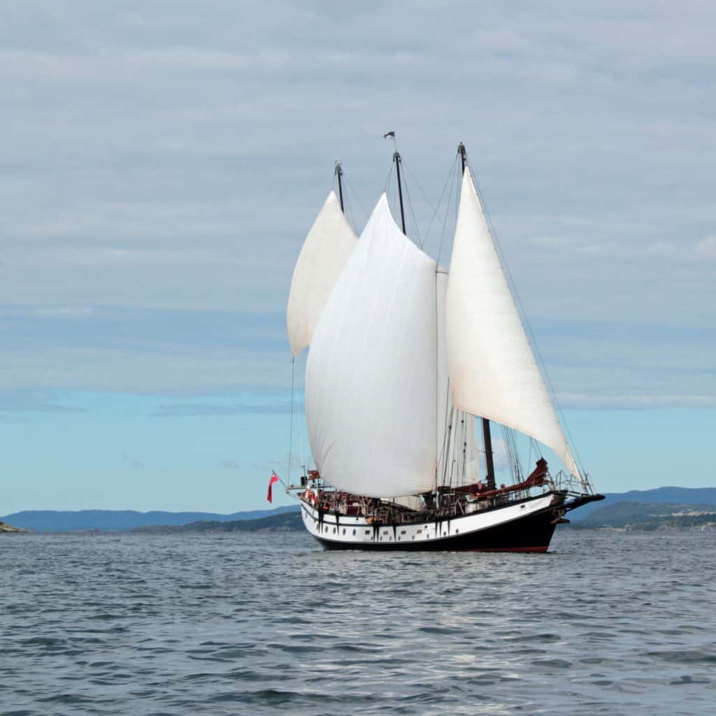 Trinovante with Classic Sailing