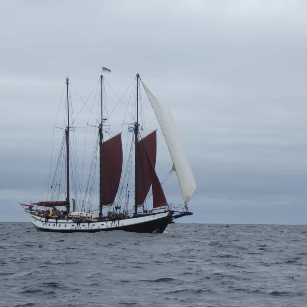 Trinovante sailing off Unst June 23 by Dutch Ron