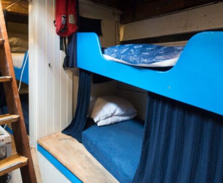 Bunk and loft bunk on Sunbeam
