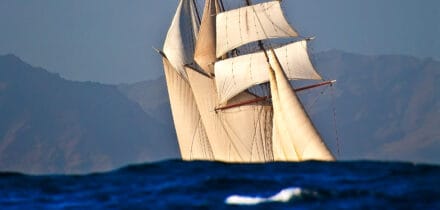 oosterschelde in cape verde ocean swell