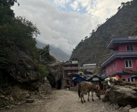 Three horse town Jagat