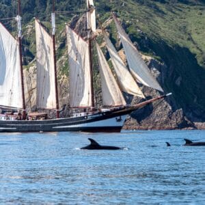 Sail on Oosterschelde with Classic Sailing