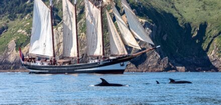 Sail on Oosterschelde with Classic Sailing